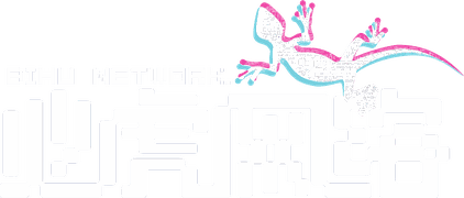必虎网络