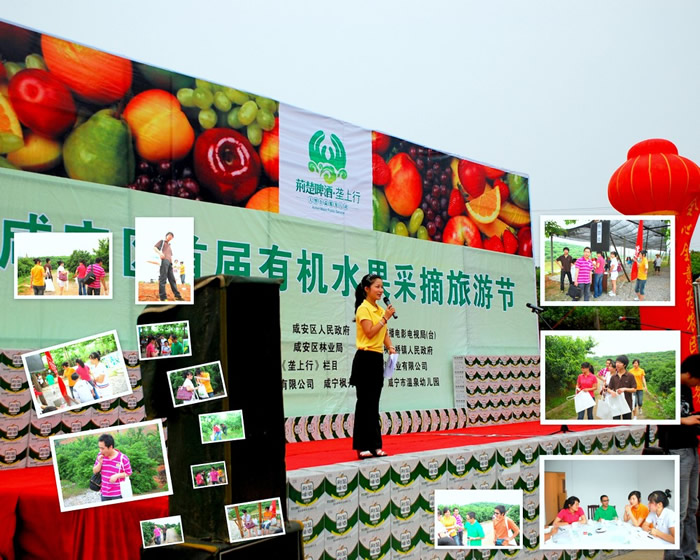 公司组织员工参加咸安区首届有机水果摘采旅游节活动